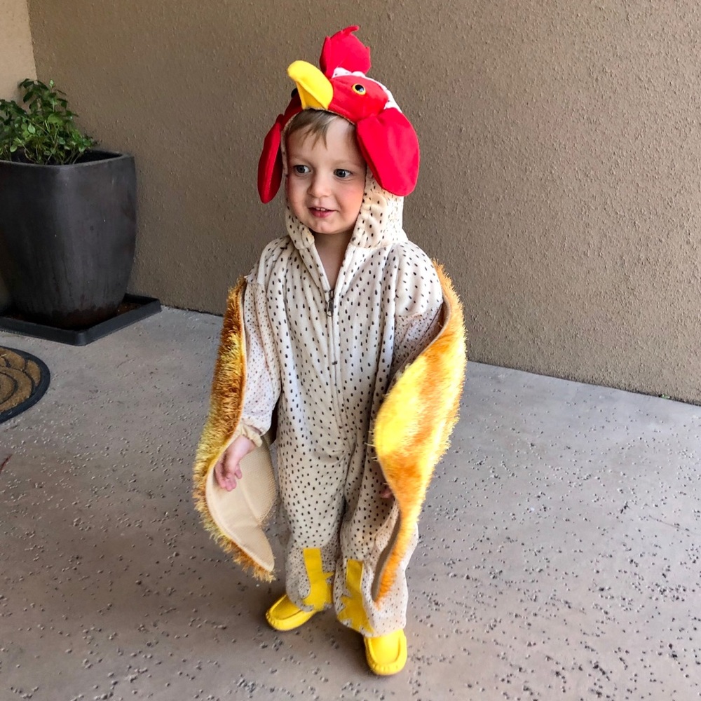 EUC 2T Chicken Rooster Farm Costume